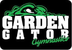 Competitive Gymnastics by invite only