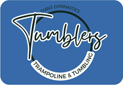 Trampoline & Tumbling 6years-18years