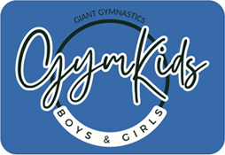Boys & Girls Gymnastics 6years-adult